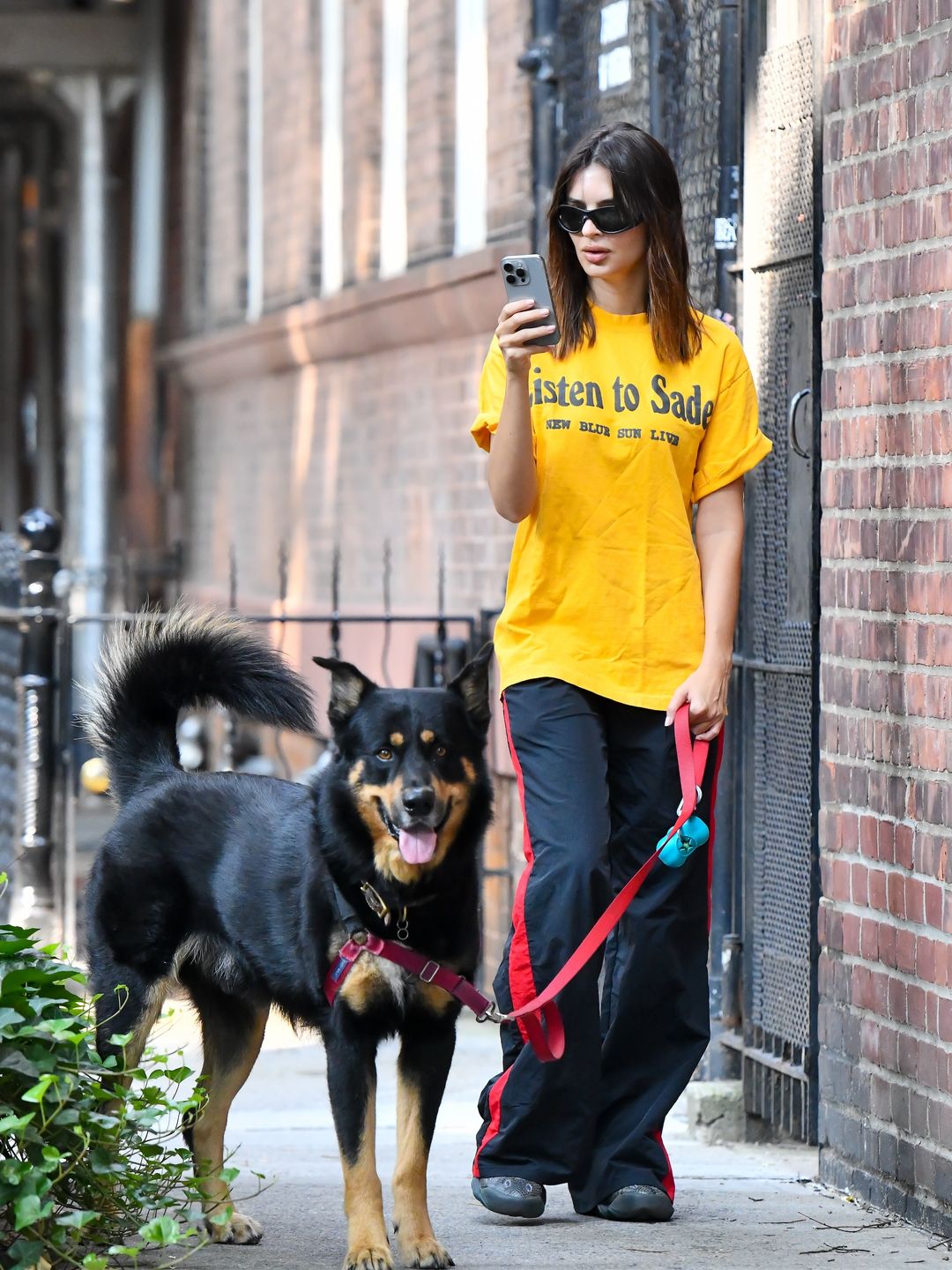 Emily Ratajkowski seen out walking with her dog, Colombo on August 14, 2024 in New York City