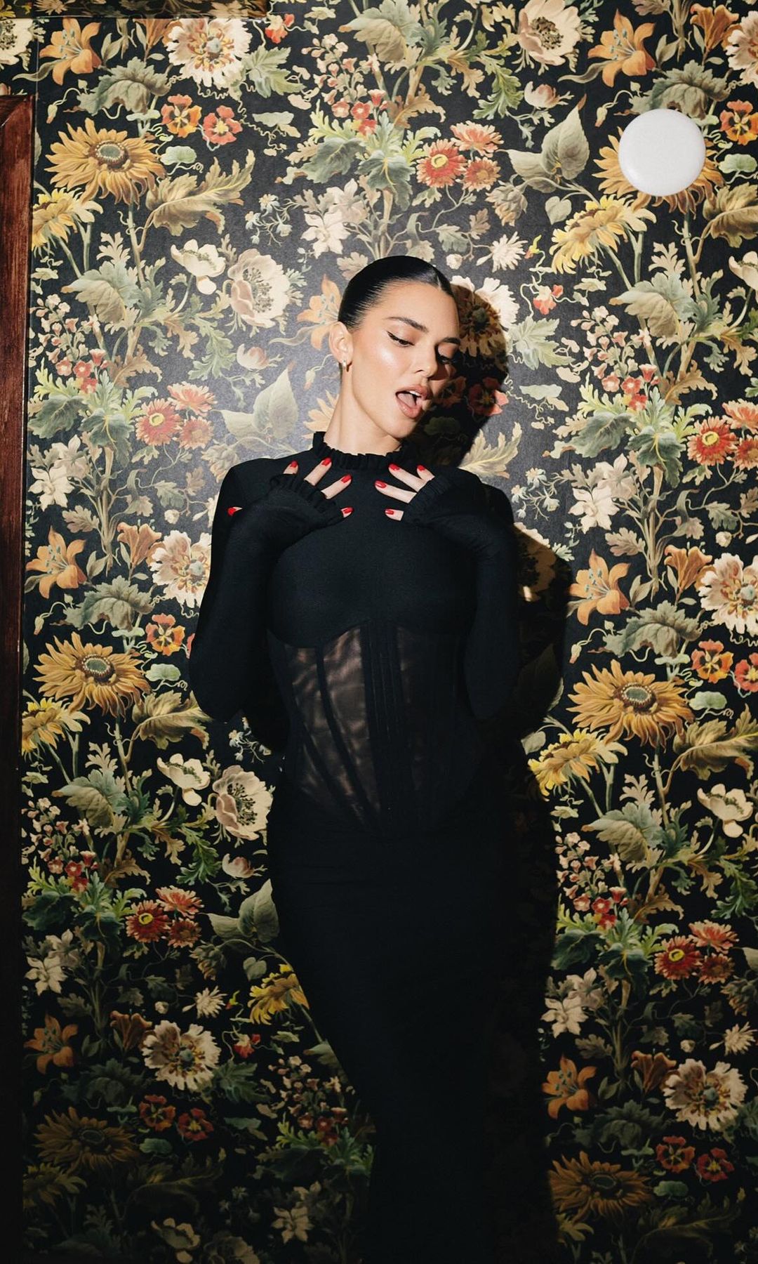 Kendall Jenner poses in a black lace dress 