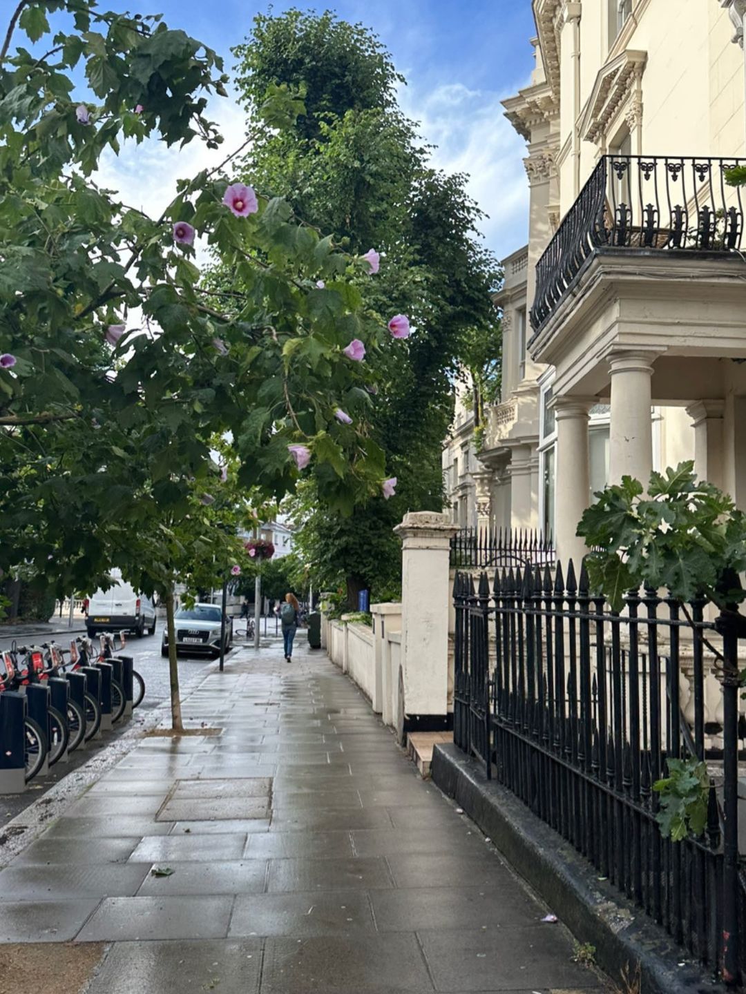 A street in London, framed by green trees and shrubs, all dampened by rain