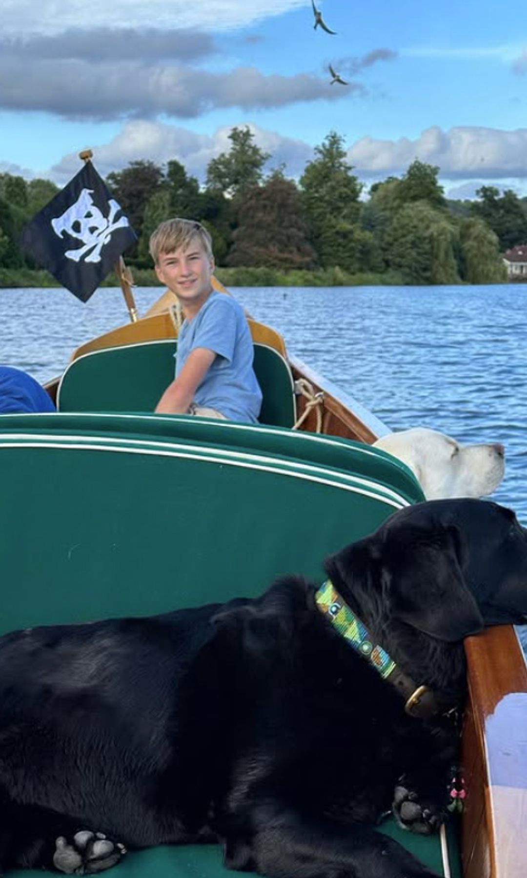 Un adolescent sur un bateau avec deux chiens; Il y a un drapeau de pirate avec un crâne de chien et des clés volant du bateau
