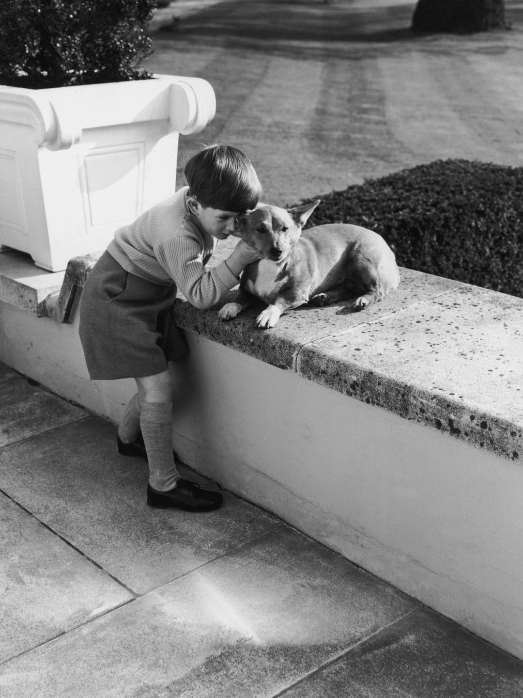 A young Prince Charles playing with a corgi on the terrace of the Royal Lodge at Windsor