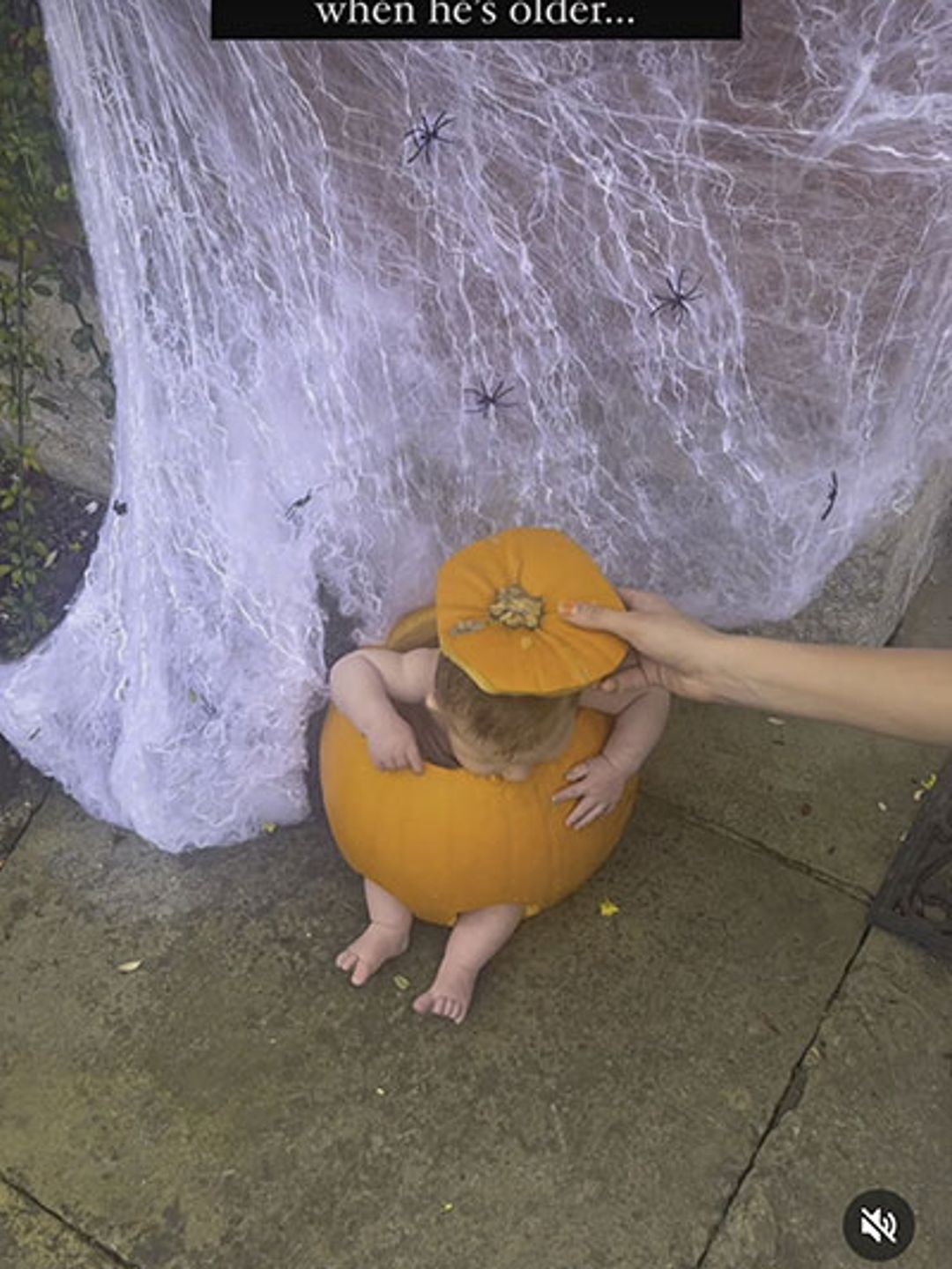 baby sitting in pumpkin