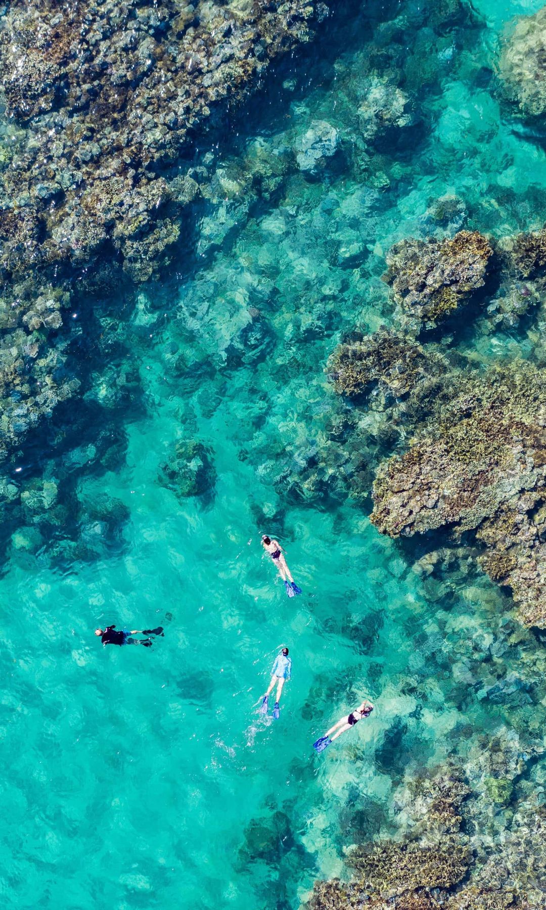 aerial shot of divers swimming in Madagascar