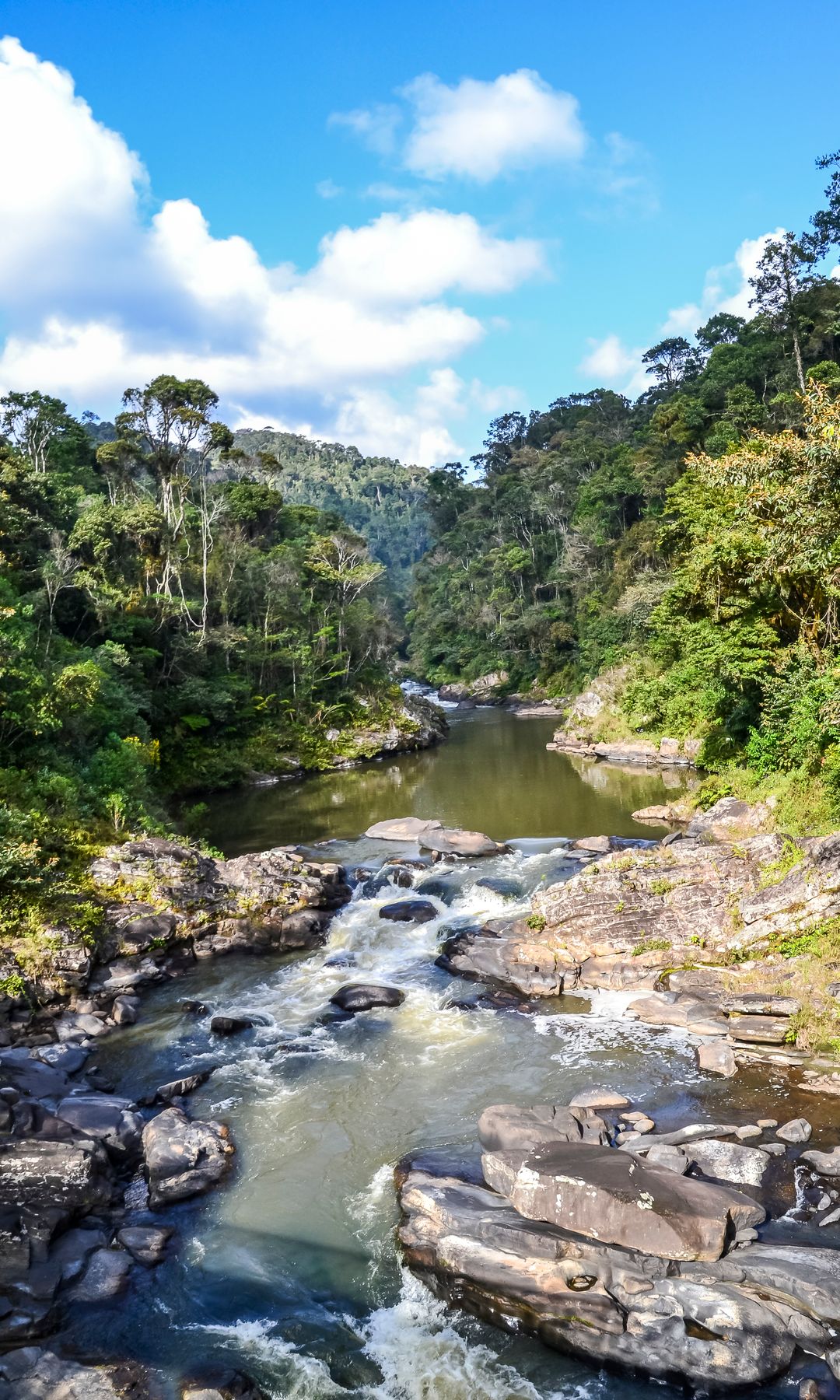 River in Ranomafana National Park