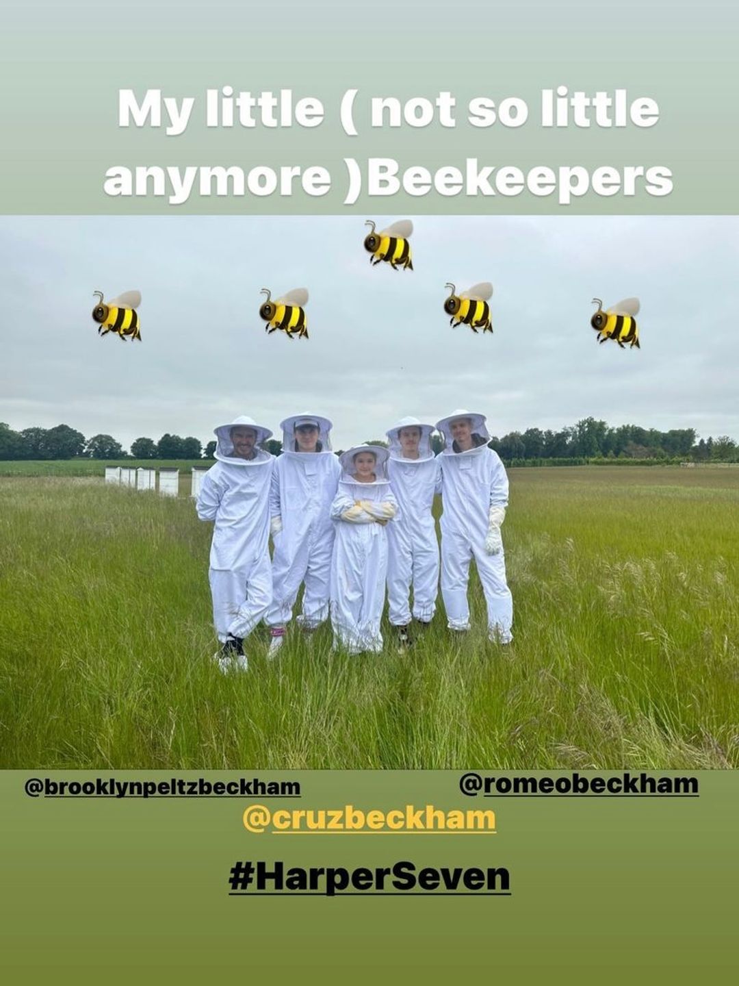 The Beckhams donned matching beekeeping outfits 