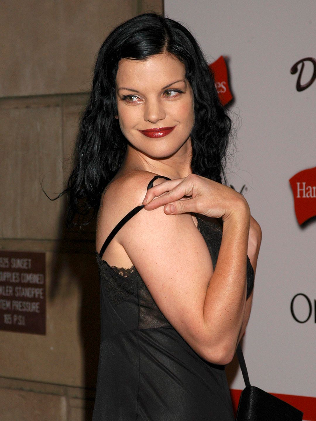 Pauley Perrette at an Emmys party in 2006