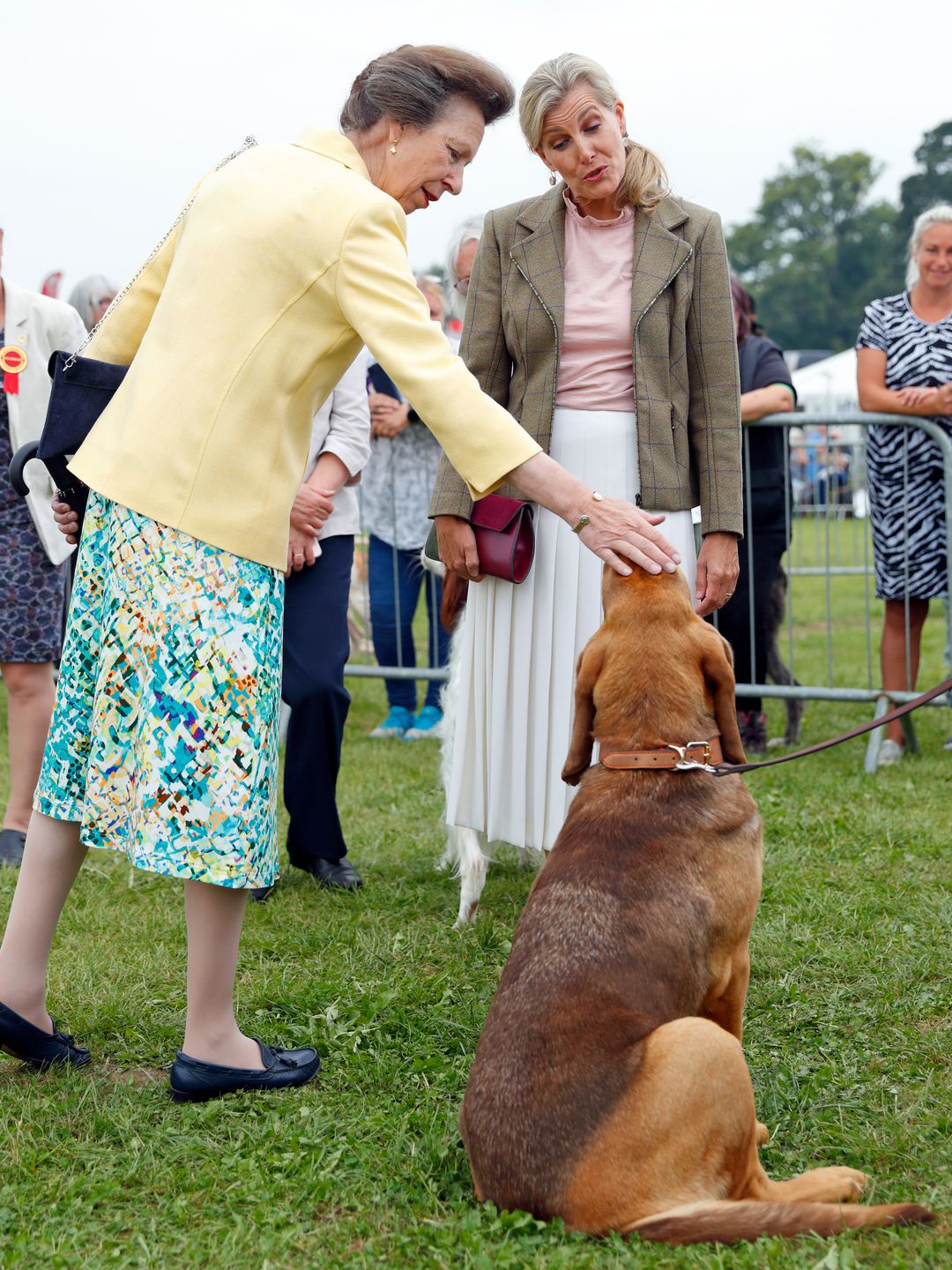 princess anne stroking dog at country show 