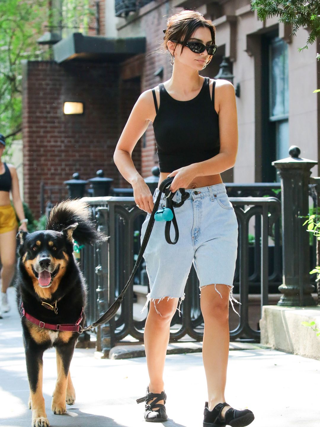 Emily Ratajkowski is seen on June 14, 2024 in New York City walking her dog 