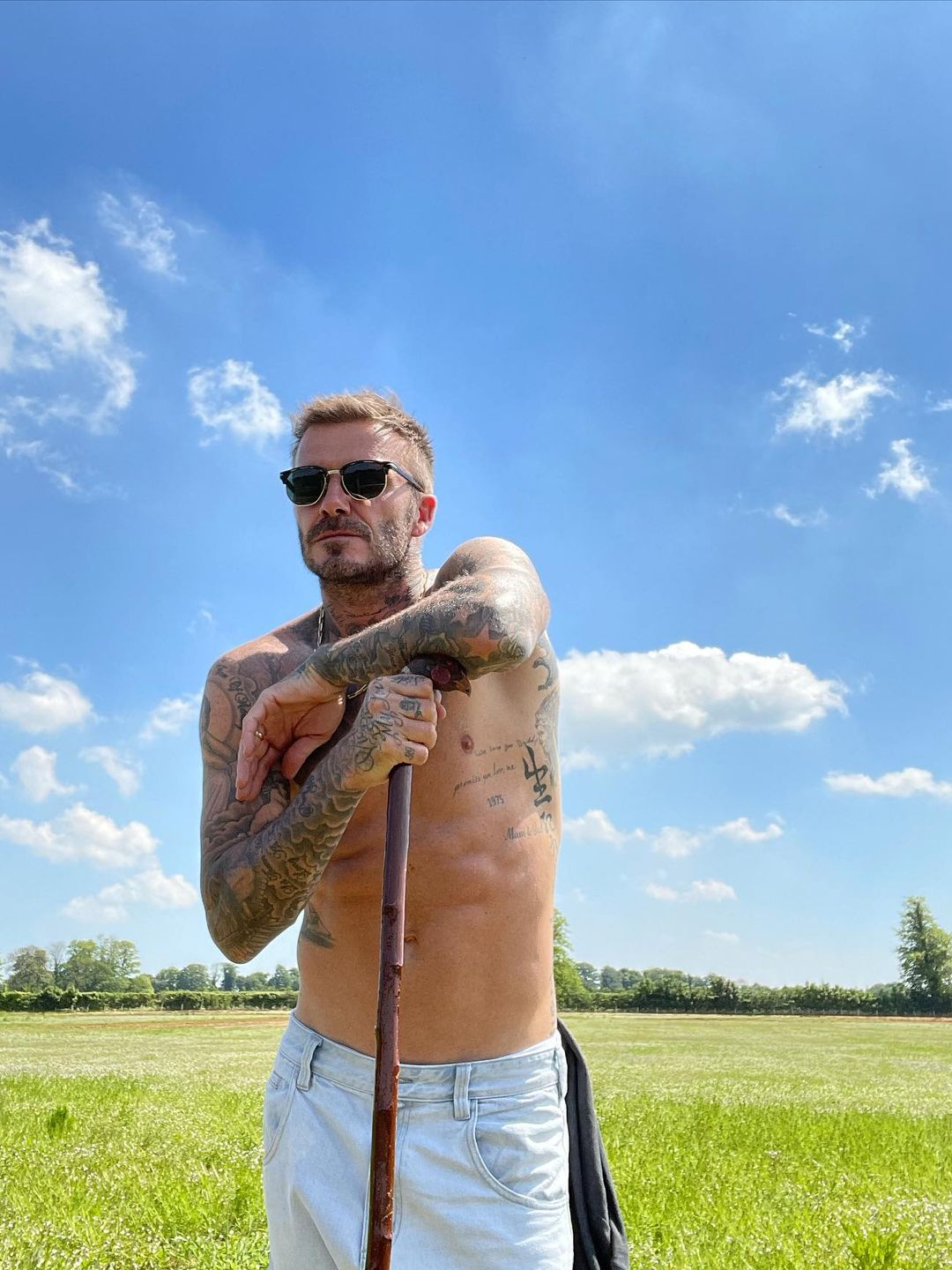 david beckham posing in garden 