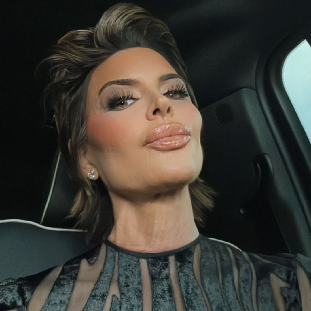 Lisa Rinna pouting to the camera in a back of the car selfie