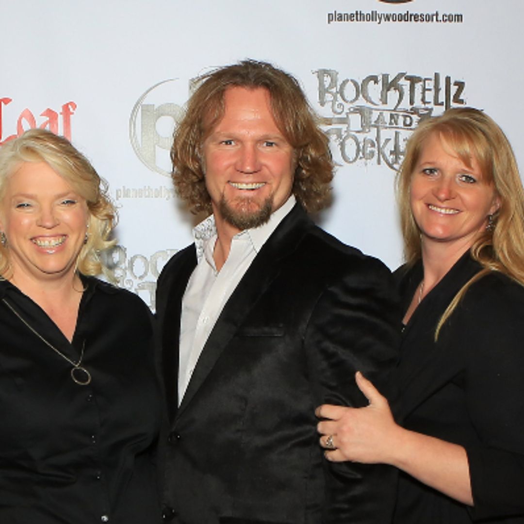 What does Sister Wives star Kody Brown do for a living?