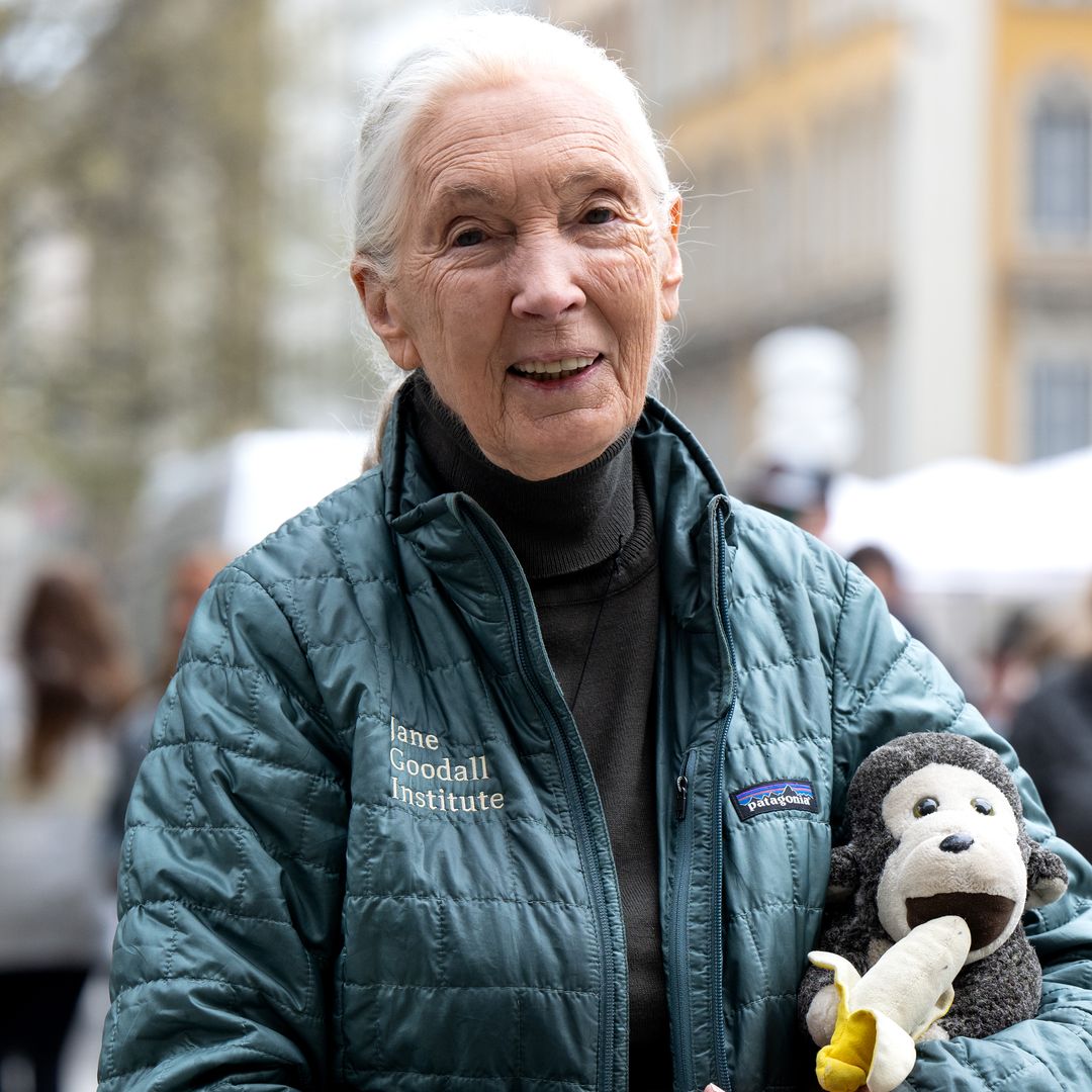 Jane Goodall's cause of death confirmed following her passing aged 91