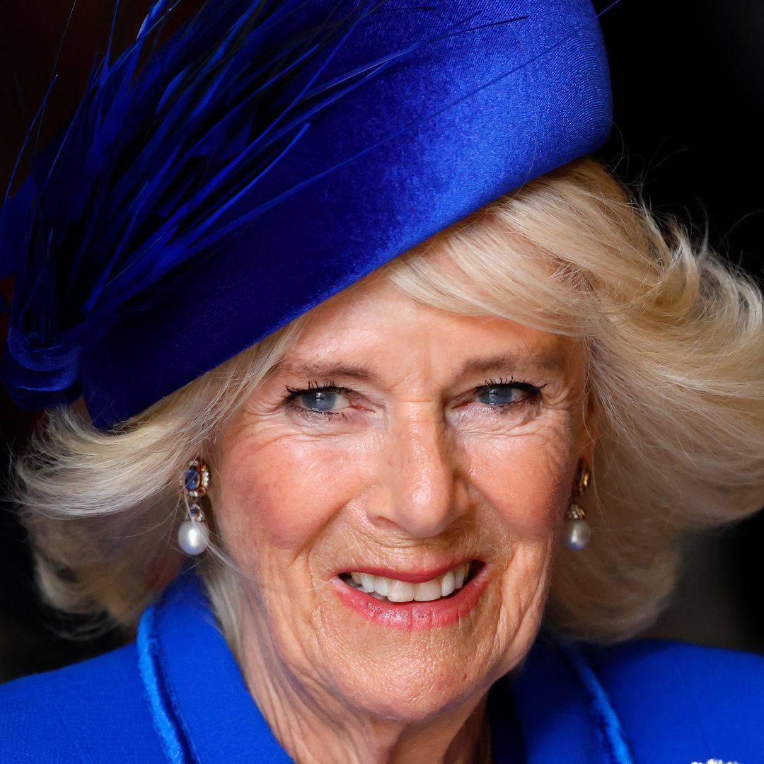Queen Consort Camilla's 6 royal companions and their coronation roles