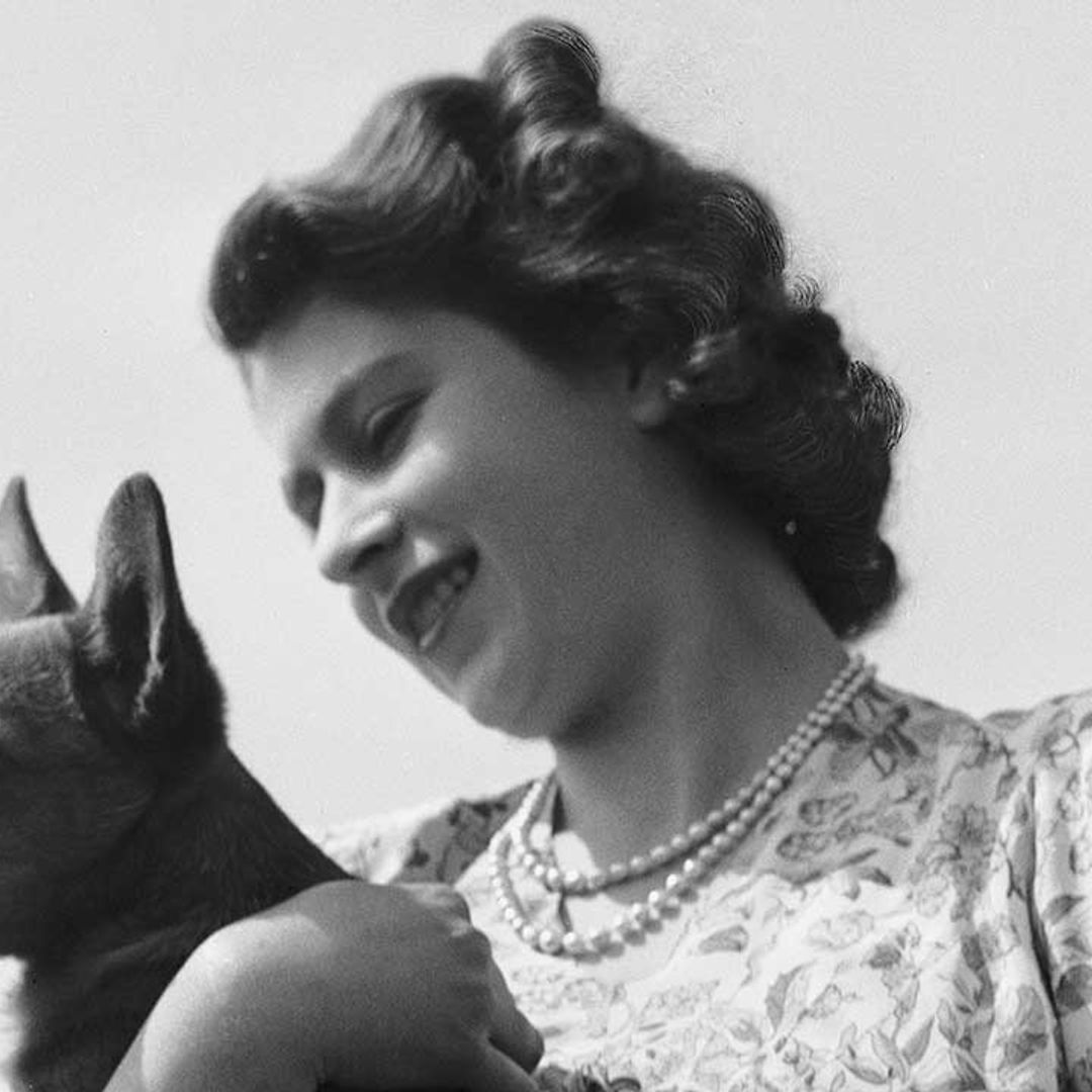 Revealed: who will look after the late Queen Elizabeth II's beloved corgis