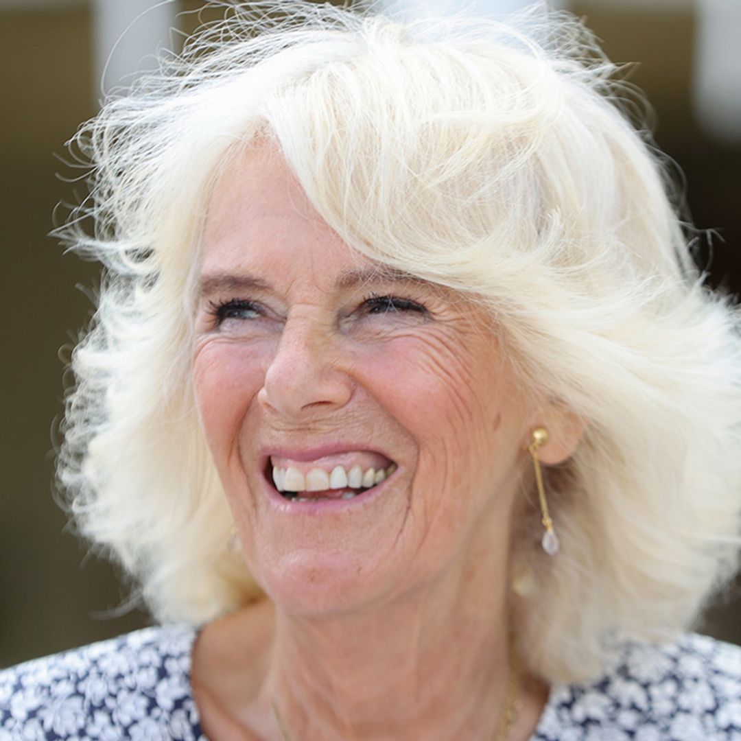 Duchess Camilla accessorises her dreamy dress with an amazing charm necklace