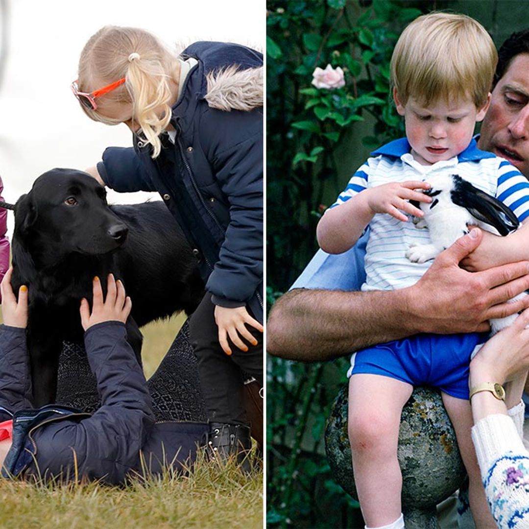 15 cute photos of royal children playing with their pets