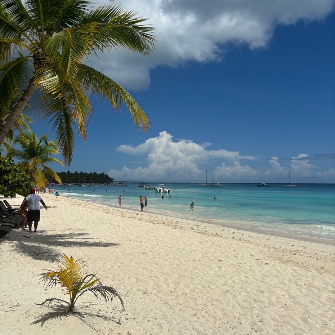 saona island 