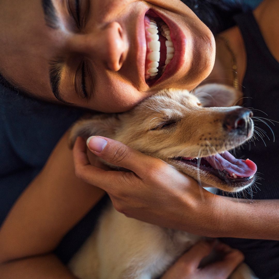 7 best dog breeds that make the best companions for lonely people