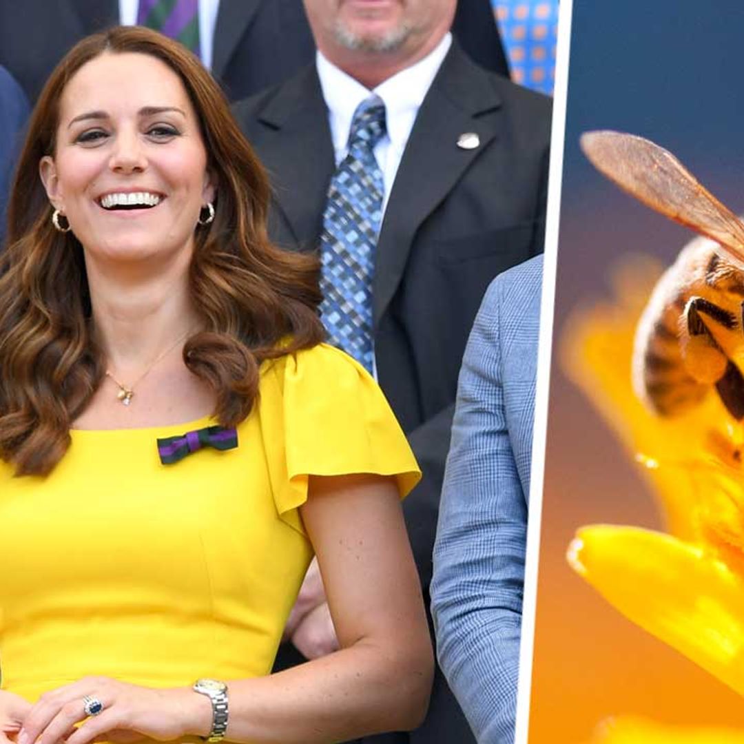 Duchess Kate reveals she makes her own honey at Norfolk home