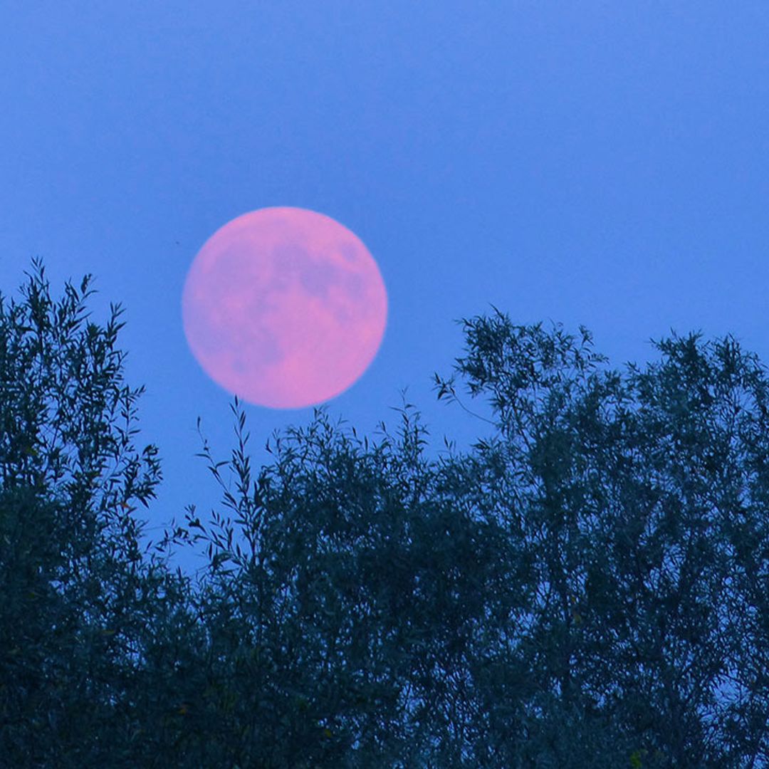 What this week's Super Flower Moon means for you depending on your star sign