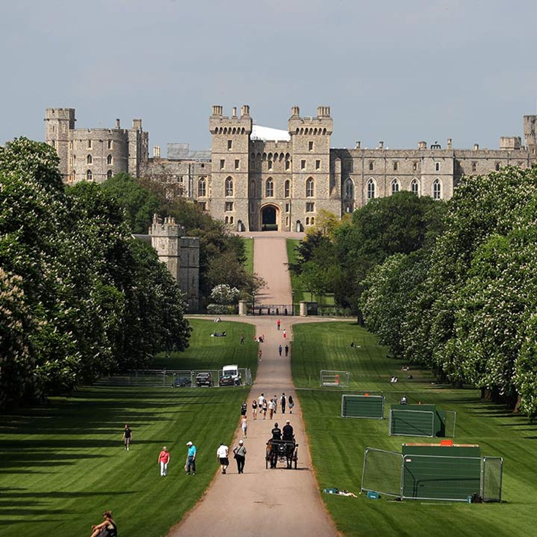 Windsor Castle garden open to public for first time in 40 years