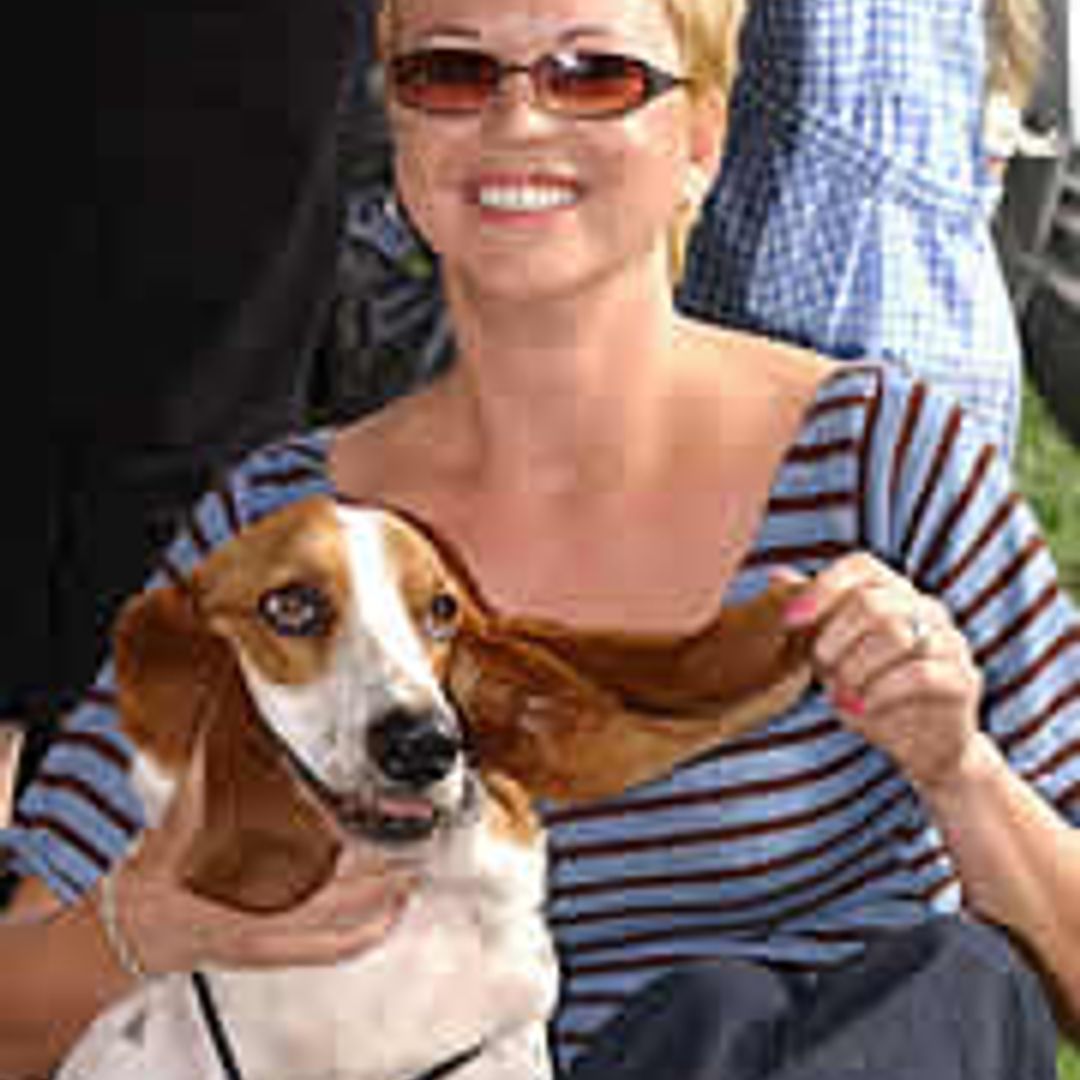 CELEBRITY CHARITY EFFORT GOES TO THE DOGS