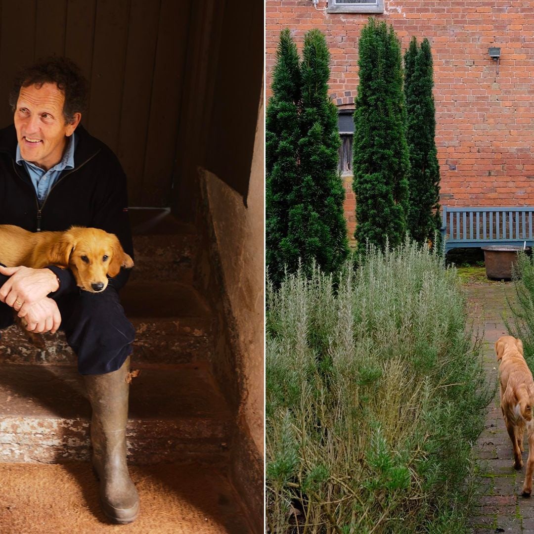 Monty Don’s stunning Tudor hall home went through a decade of restorations – take a look inside