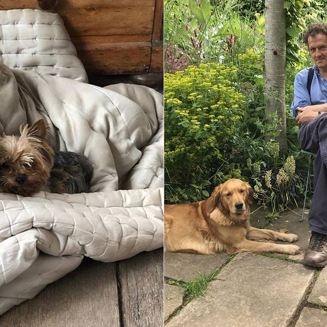 Gardener's World: everything to know about Monty Don's dogs