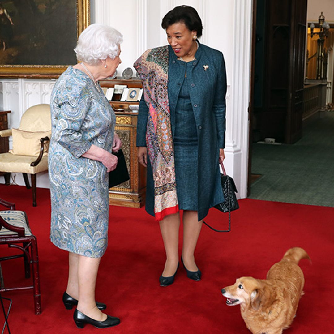 The Queen joined by a very special guest at her Windsor meeting – her corgi!