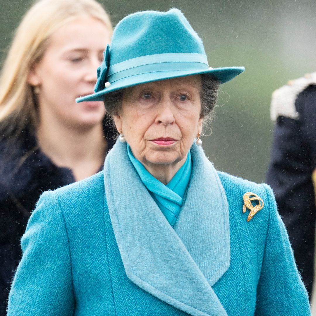 Princess Anne surprised with sentimental gift from fan: 'Are you sure?'
