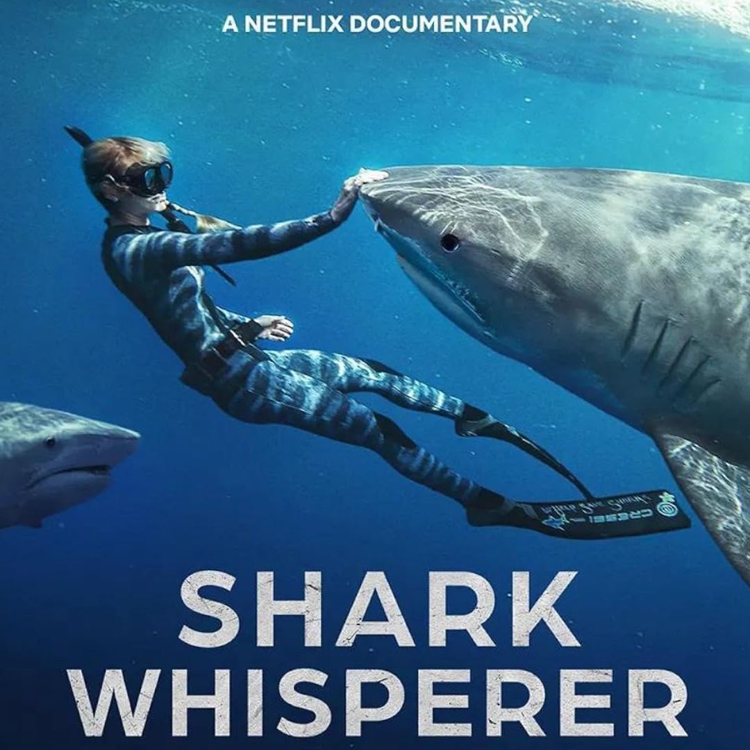 Shark Whisperer TV Poster