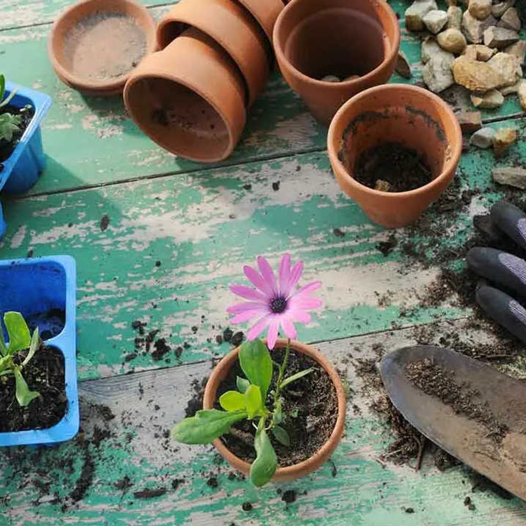 The gardening tools to buy on sale now in preparation for your 2022 garden glow up