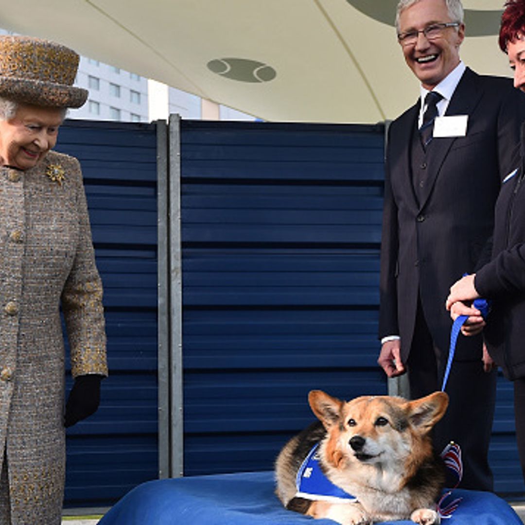 Queen Elizabeth enchanted by a corgi up for adoption