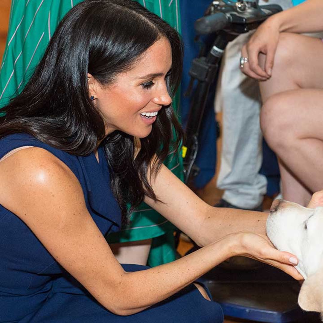 Meghan Markle and Prince Harry's pets: Which dogs have flown to Canada?