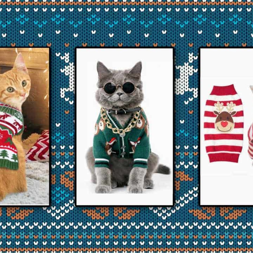 Here comes Santa Claws! 7 cutest Christmas jumpers for cats