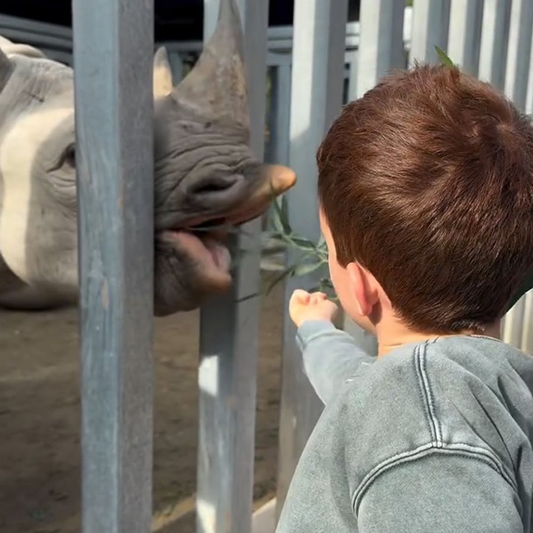Red-haired Prince Archie filmed feeding baby rhino in rare holiday footage