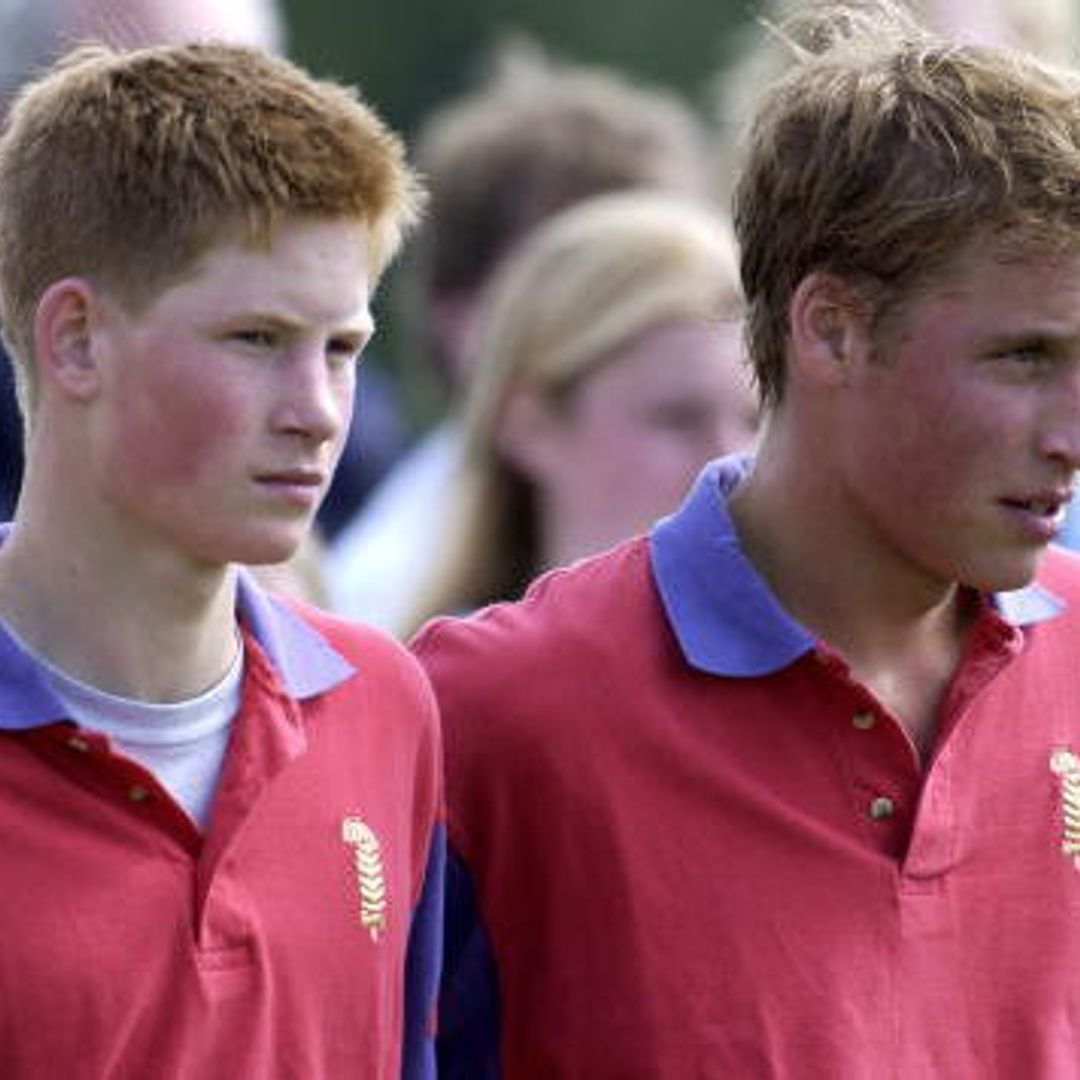 Princes William and Harry: The royal brothers' 20 cutest moments