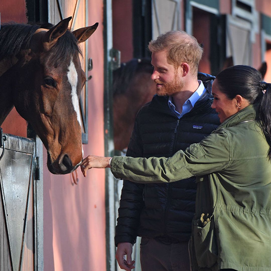 Prince Harry and Meghan's final day in Morocco: petting horses, tasting local food and meeting the king