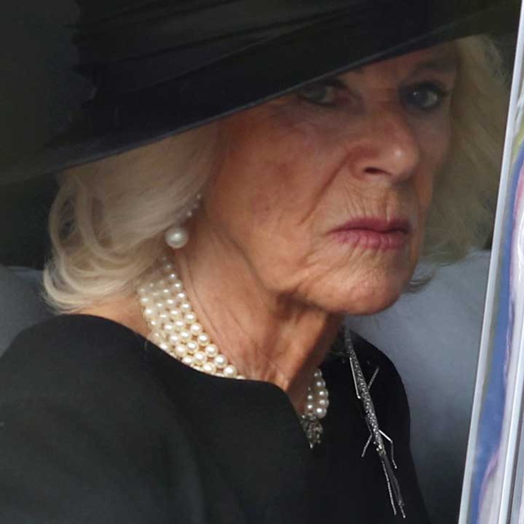 Camilla Queen Consort surprises with unusual accessory at procession