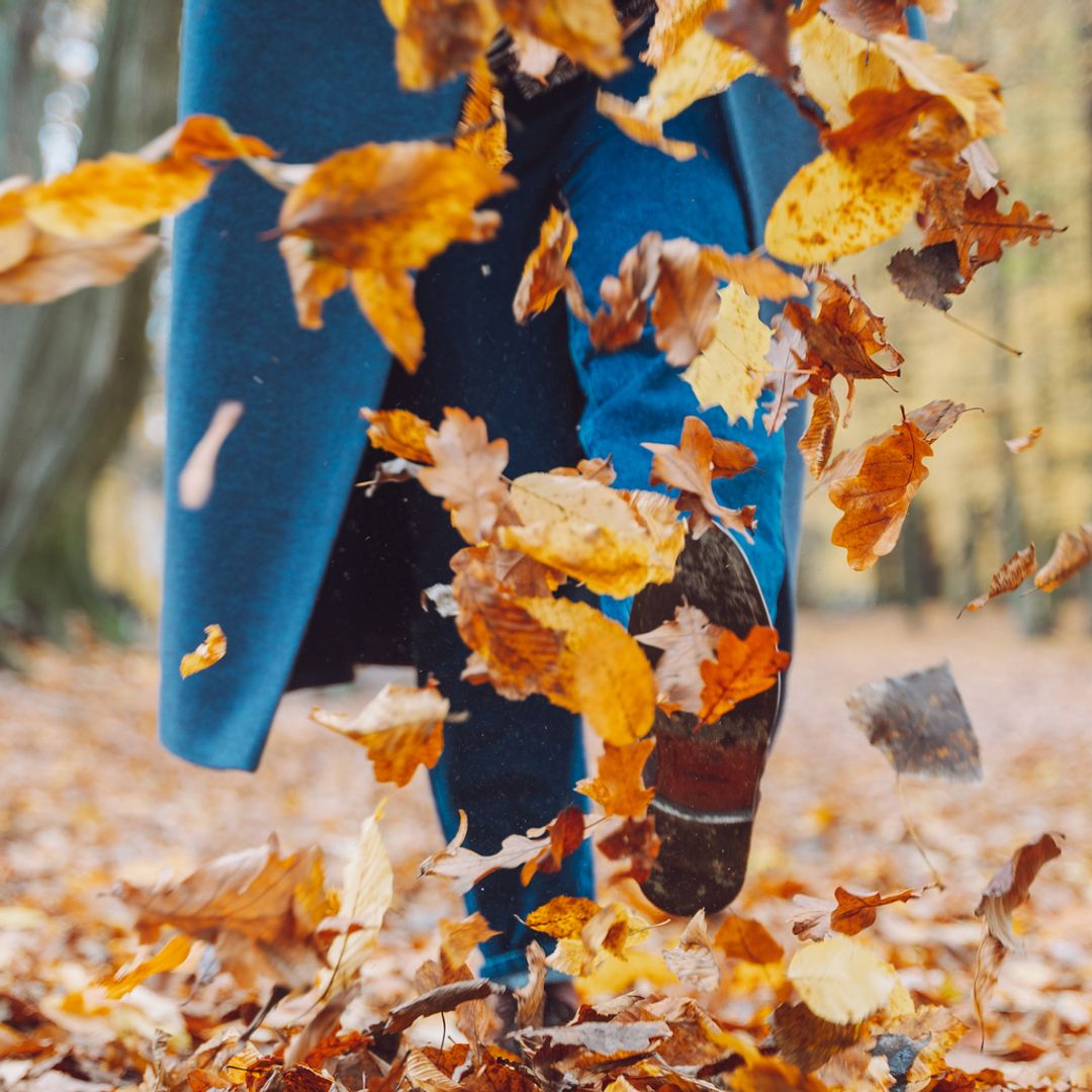 Best autumn walks for seasonal colour