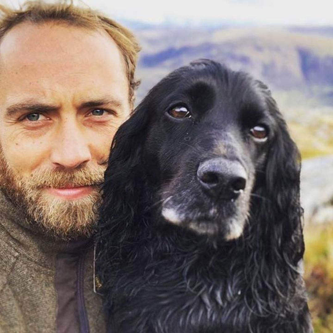 James Middleton and his adorable dogs make hilarious return to social media