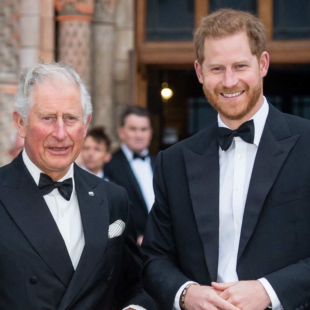 Prince Harry reunited with the royal family - but it's not what you think