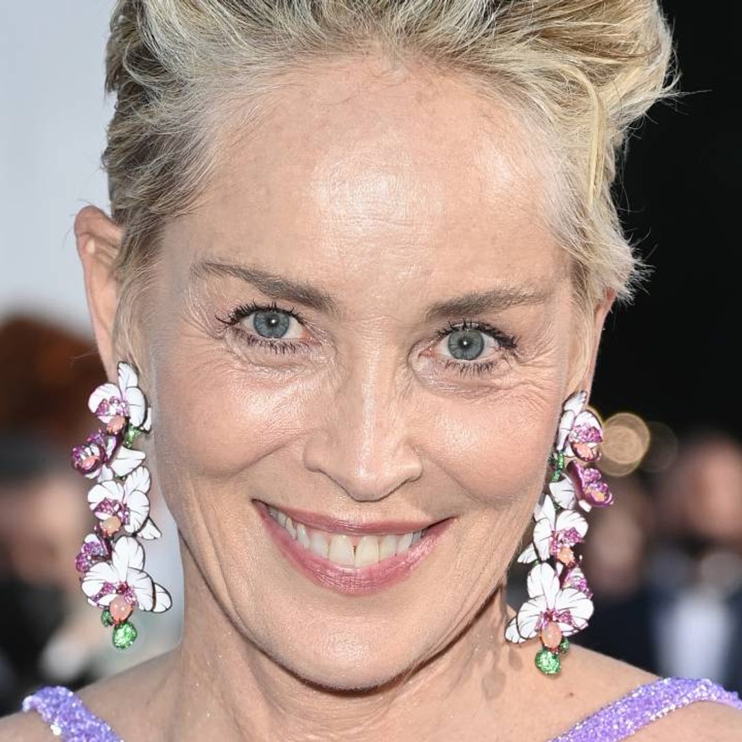 Sharon Stone brings it back to the nineties with iconic throwback photo