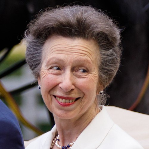 Princess Anne's personalised face mask trumps them all – see her fancy ...