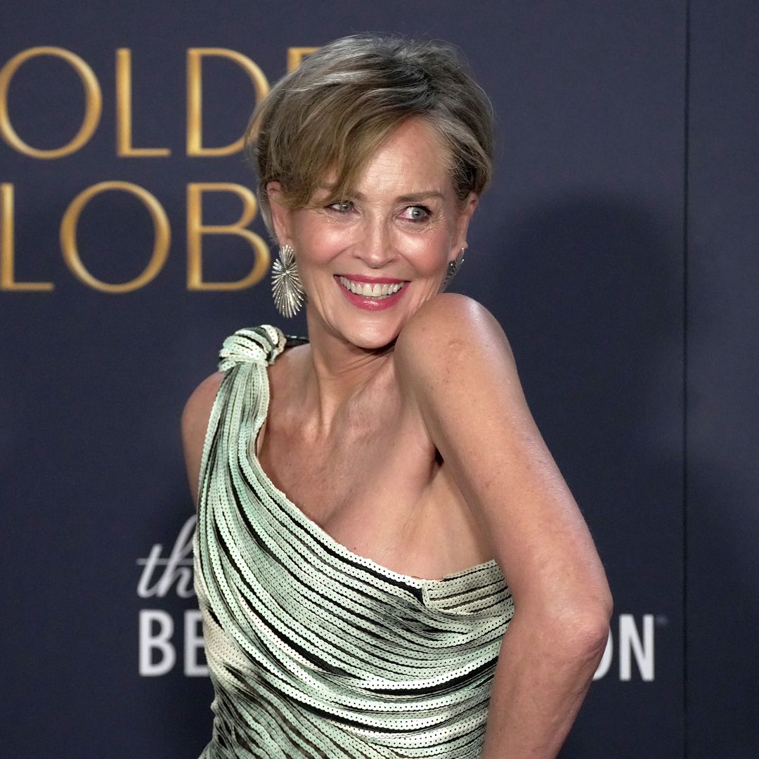 Sharon Stone dazzles in one-shoulder dress at Golden Globes — see her best throwback photos