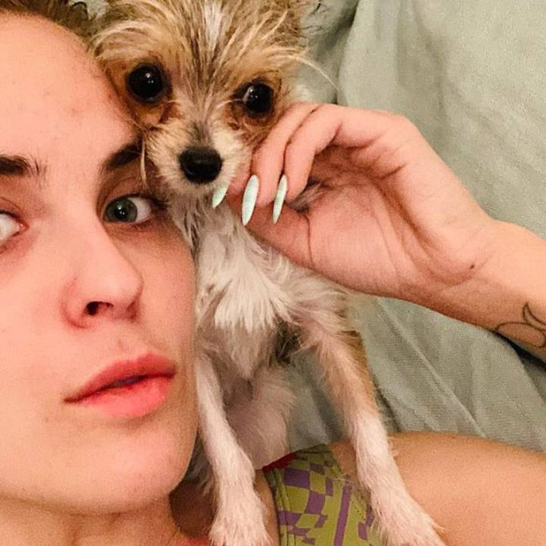 Demi Moore's daughter Tallulah shares heartbreaking news about her pet dog