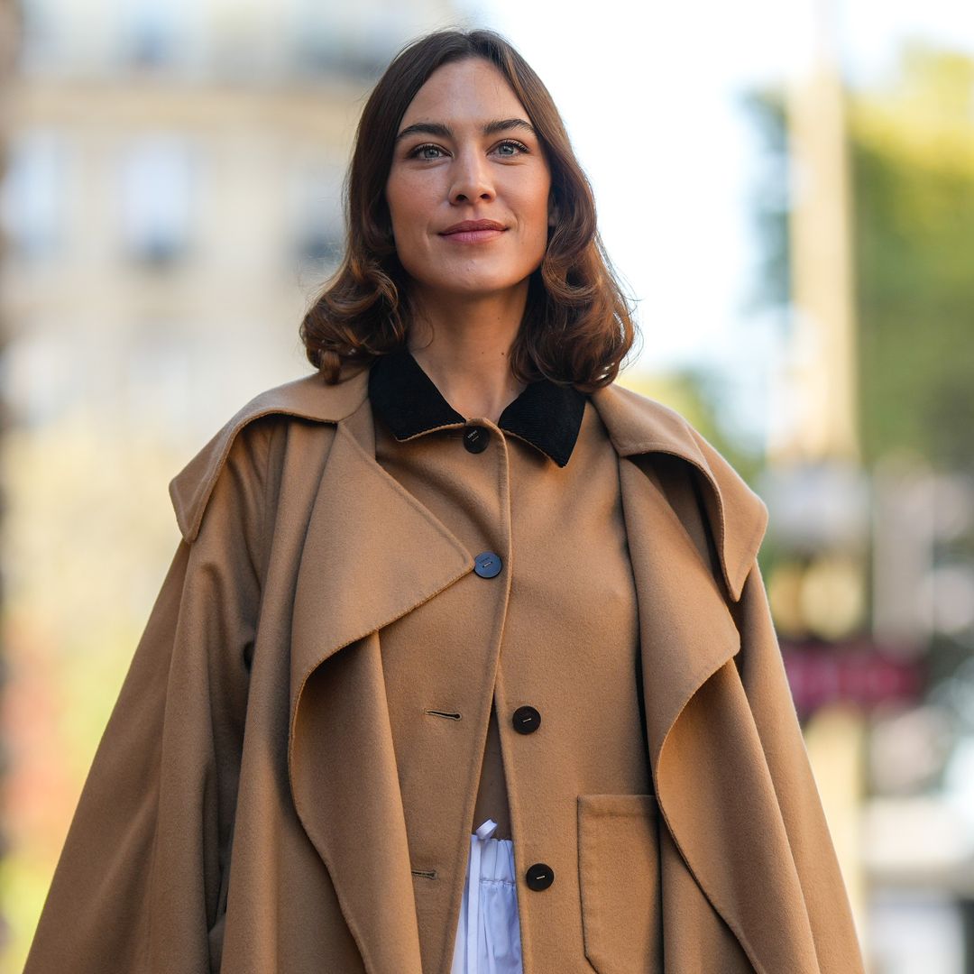 Zara have released a £29.99 dress that Alexa Chung would love