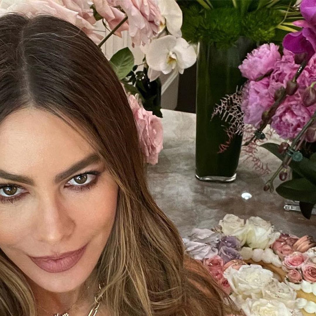 Sofia Vergara almost bares all in stunning photo