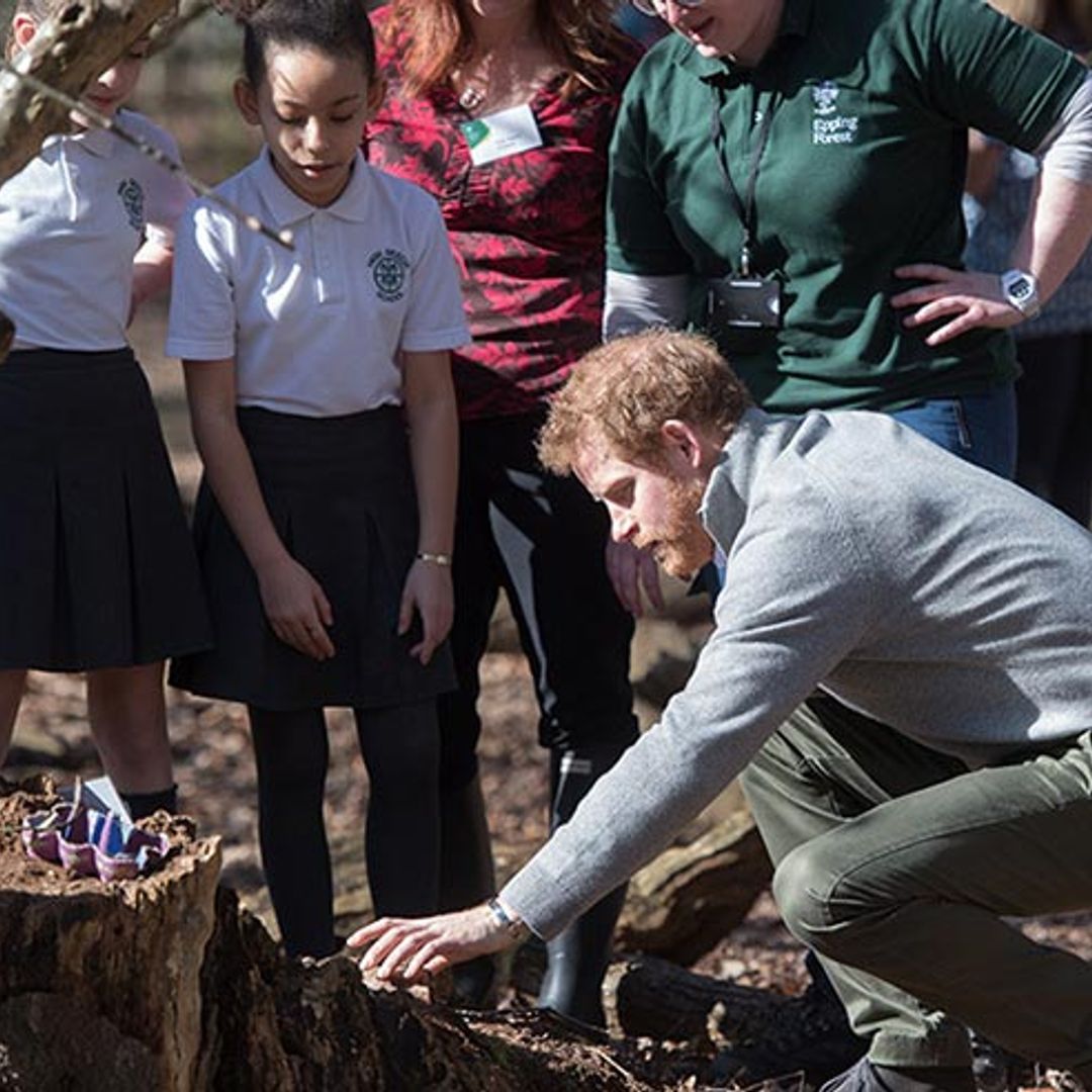 Prince Harry joins school children in learning about conservation