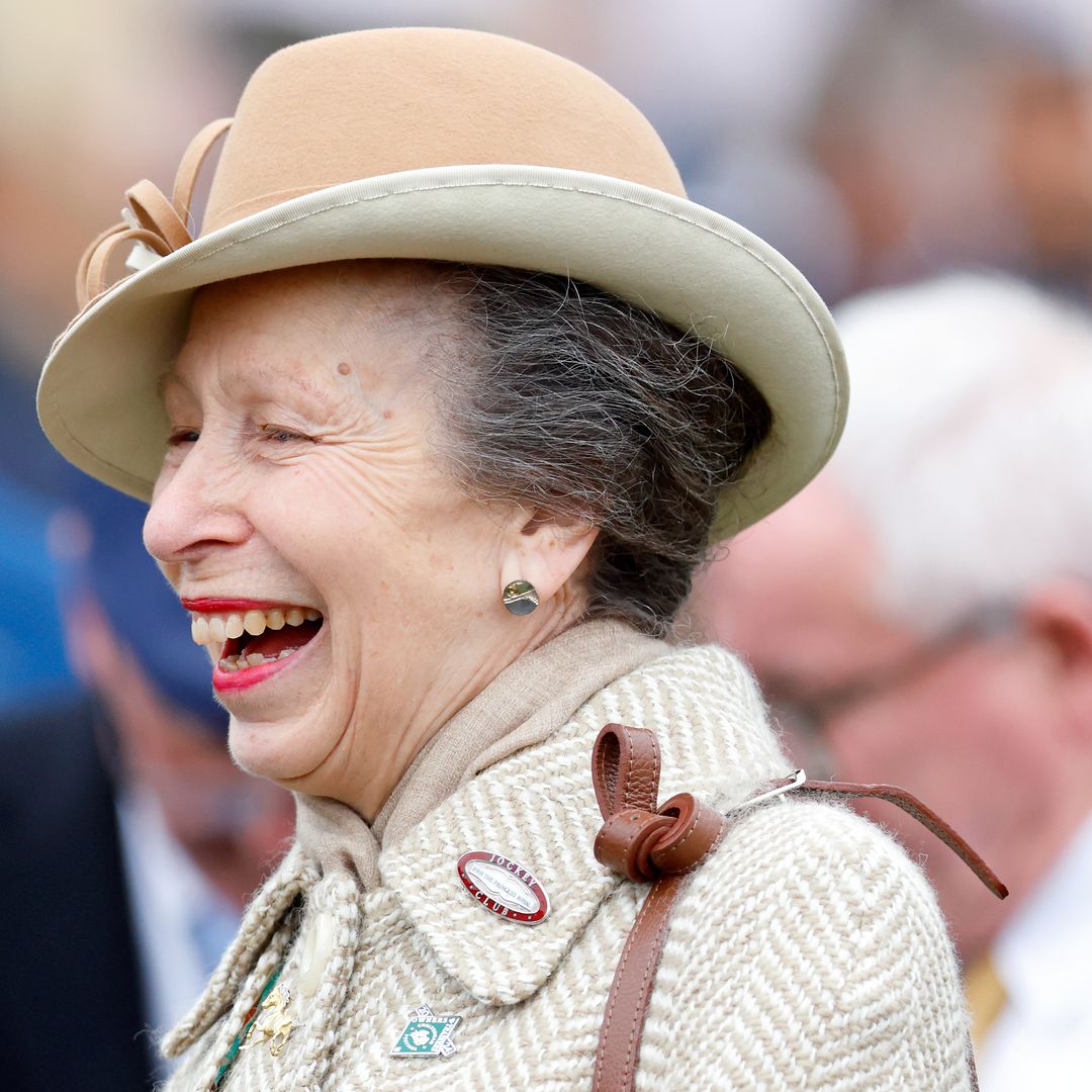 How powerhouse Princess Anne handles 70% of the royal workload at 73